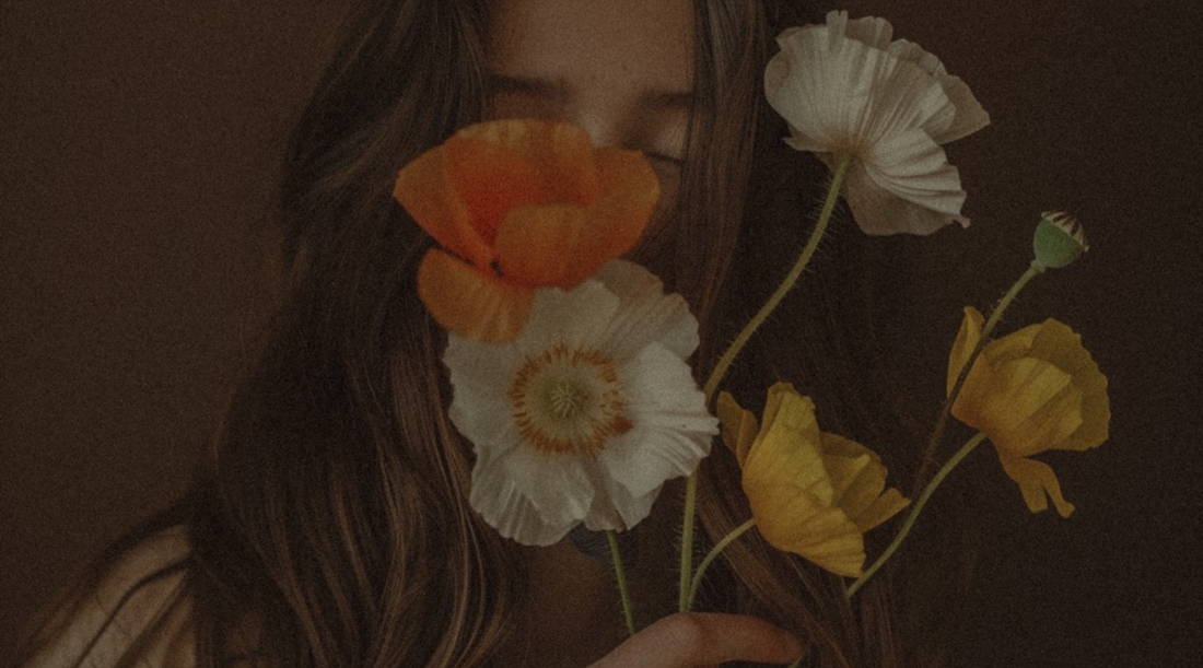 ( 03 )The Spring Equinox: a gentle turning point