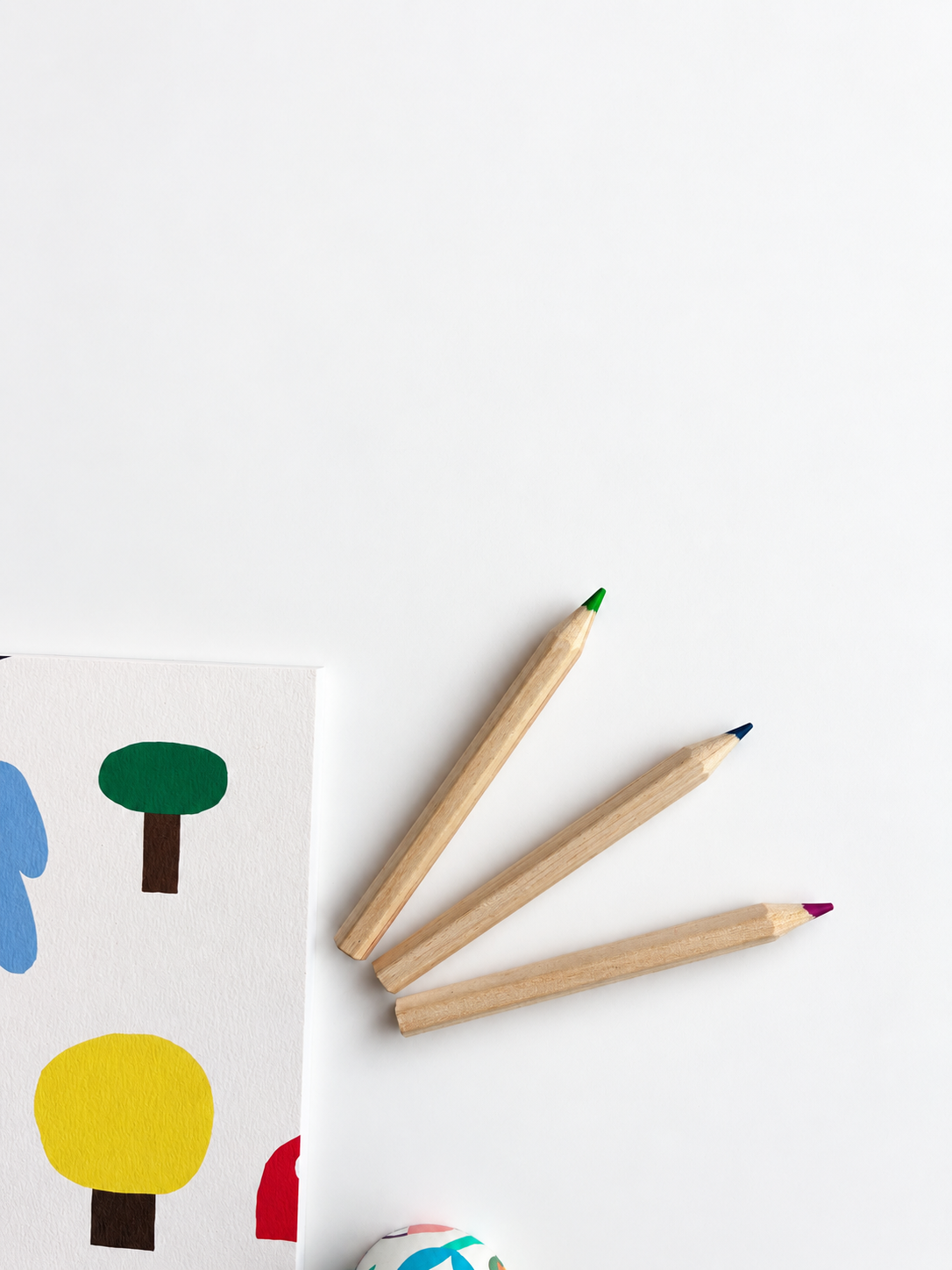 Forest & Colour | Colouring & Drawing Gift Set for Kids