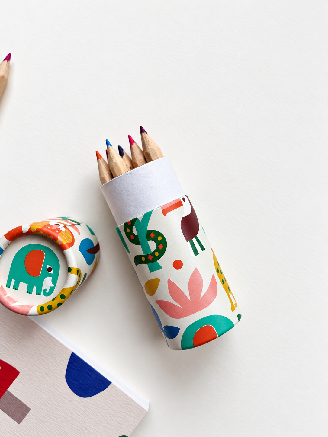 Forest & Colour | Colouring & Drawing Gift Set for Kids